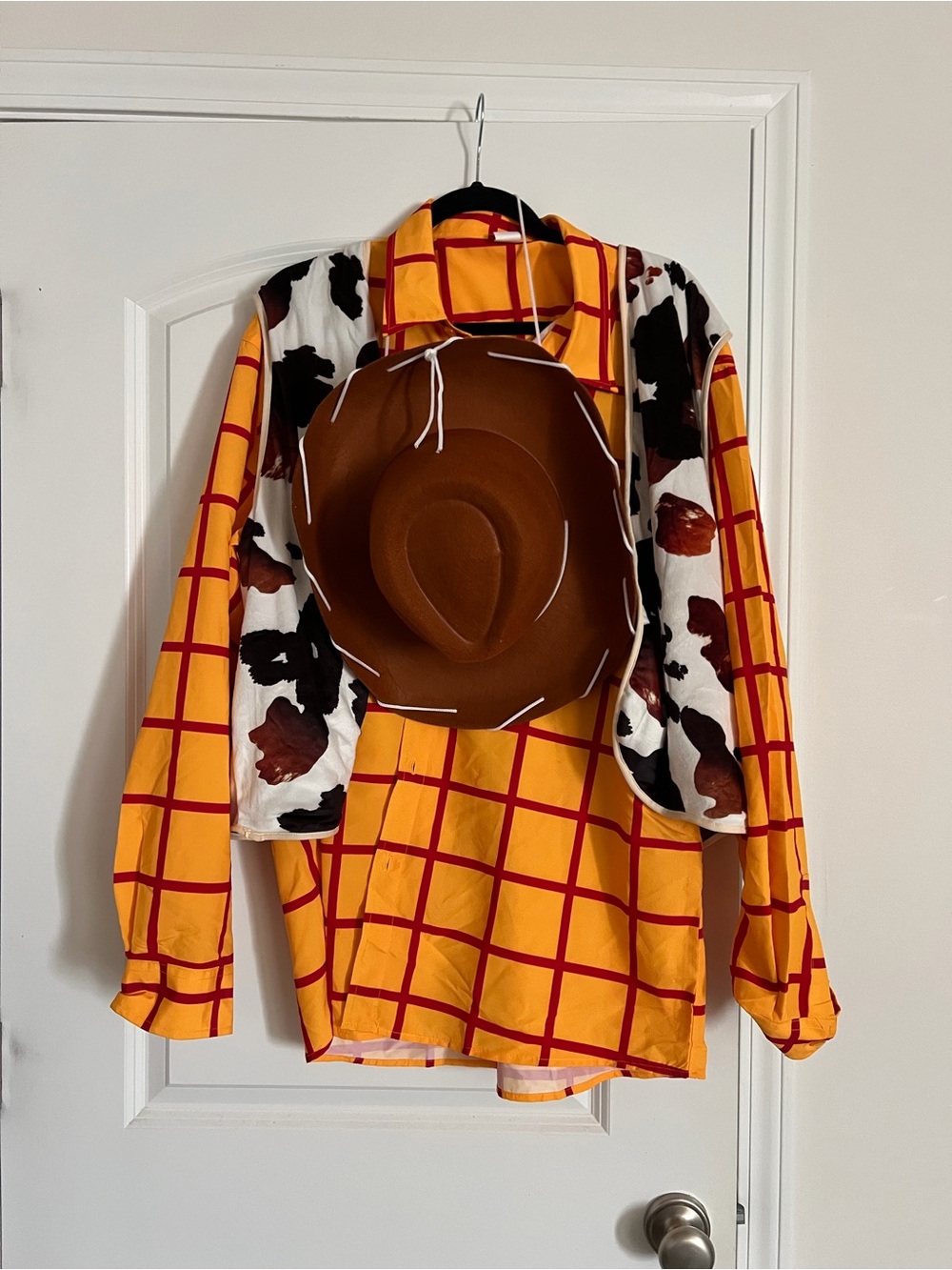 Men’s Woody Costume